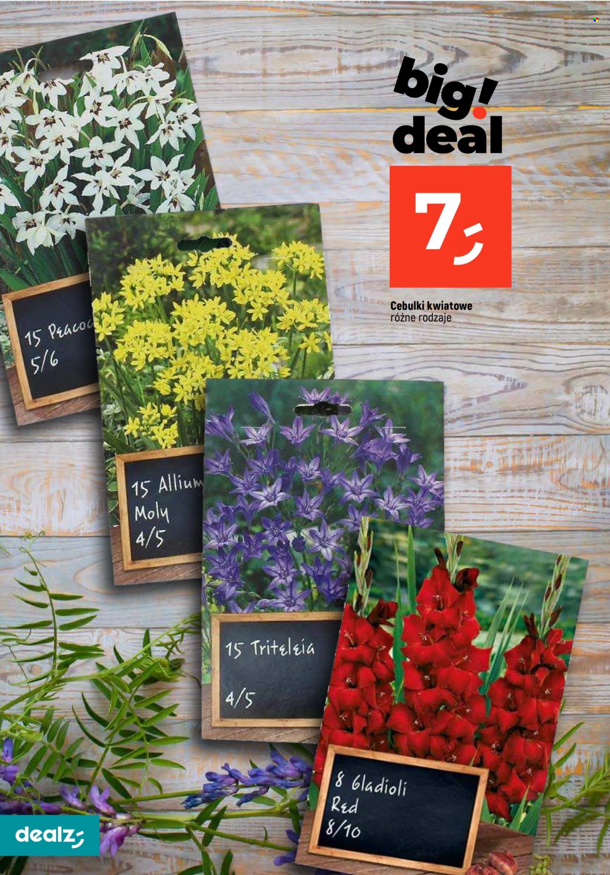 Gazetka Dealz - 29.02.2024 - 6.03.2024. Strona 24