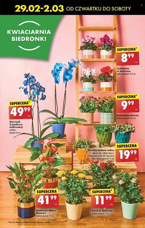 Gazetka Biedronka - 29.02.2024 - 6.03.2024. Strona 21