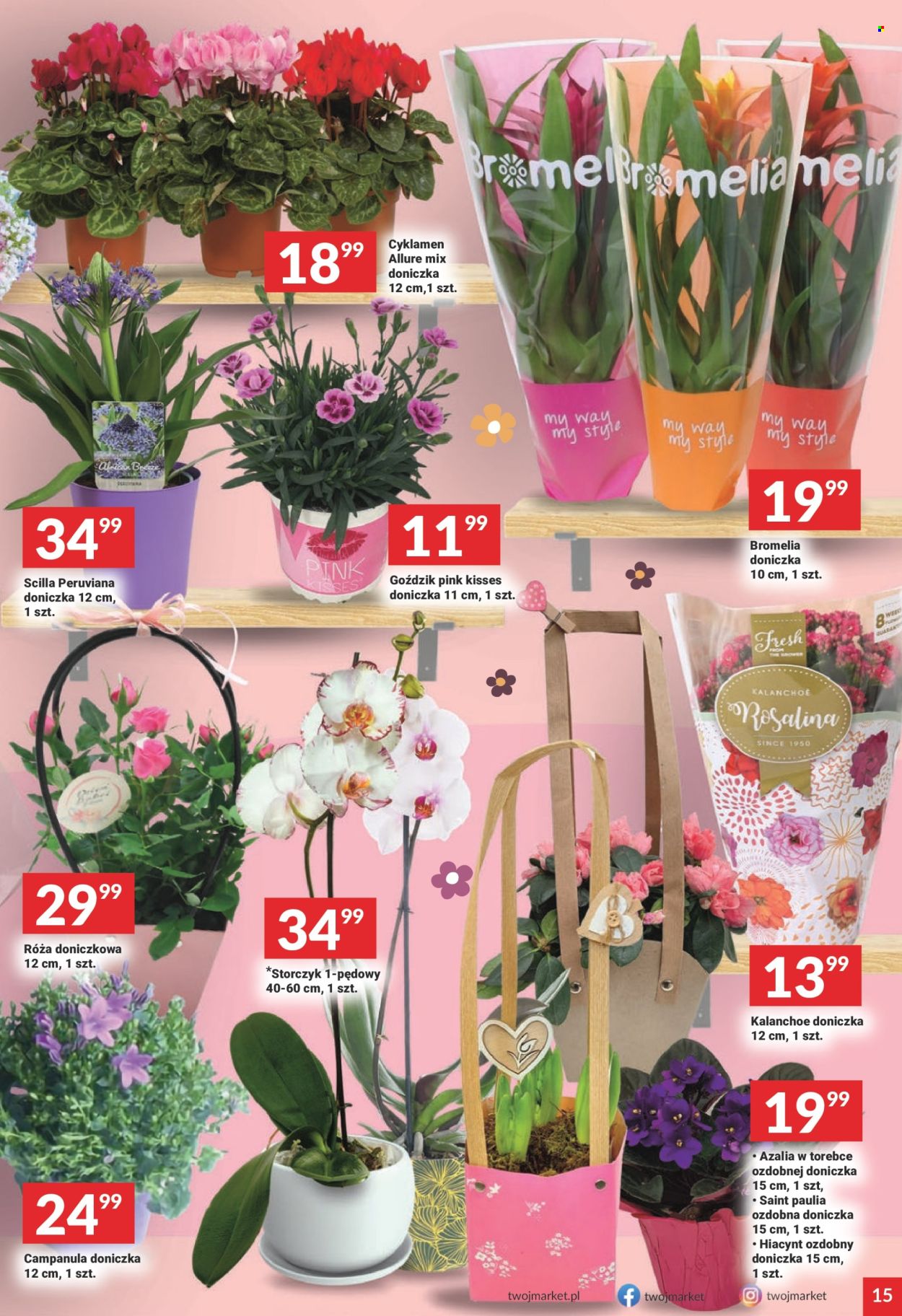 Gazetka Twój Market - 6.03.2024 - 12.03.2024. Strona 17