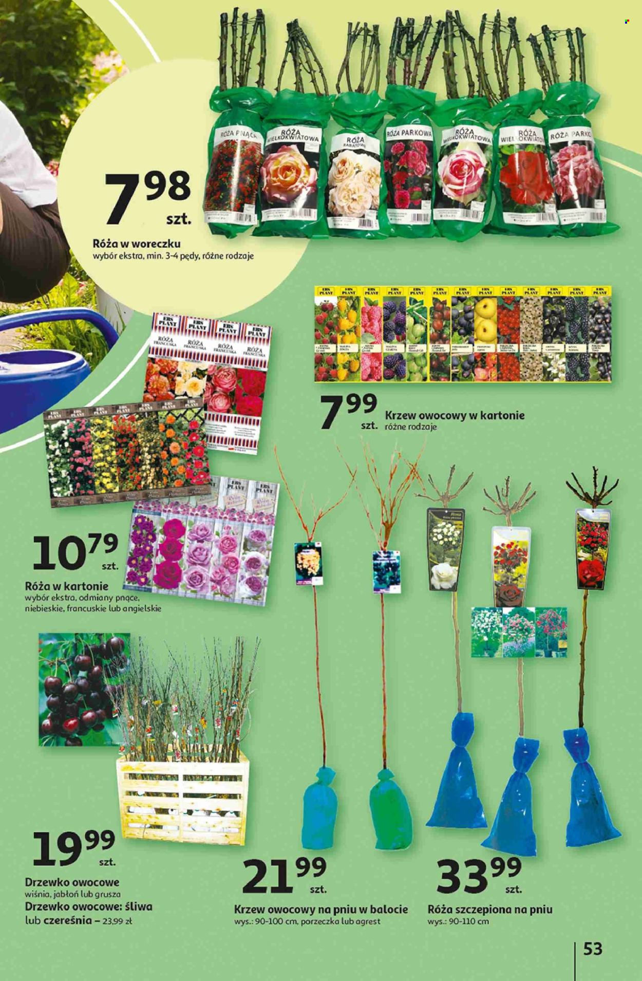 Gazetka Auchan - 7.03.2024 - 13.03.2024. Strona 53