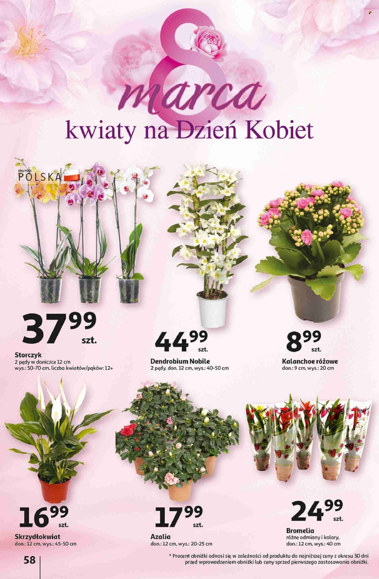 Gazetka Auchan - 7.03.2024 - 13.03.2024. Strona 58