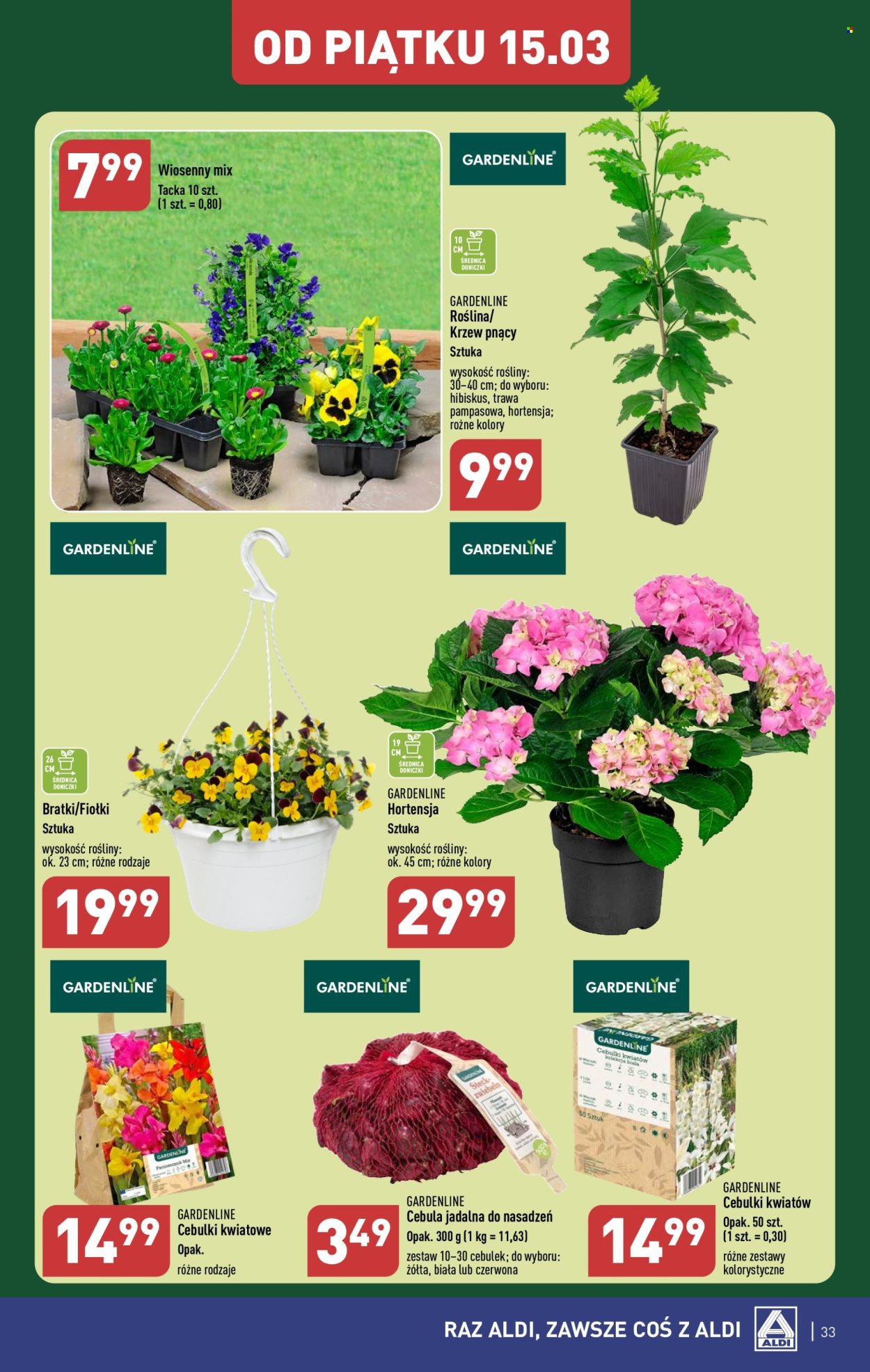 Gazetka ALDI - 11.03.2024 - 16.03.2024. Strona 33