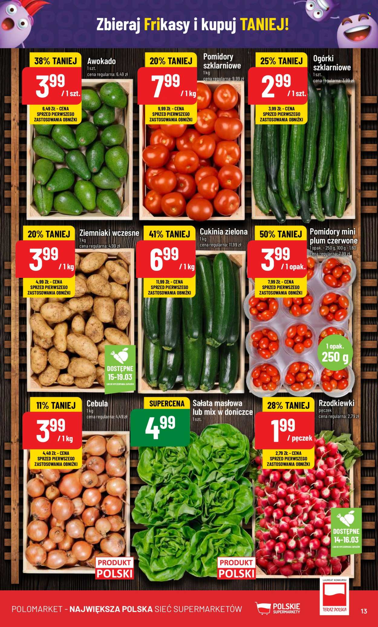 Gazetka Polomarket - 13.03.2024 - 19.03.2024. Strona 13