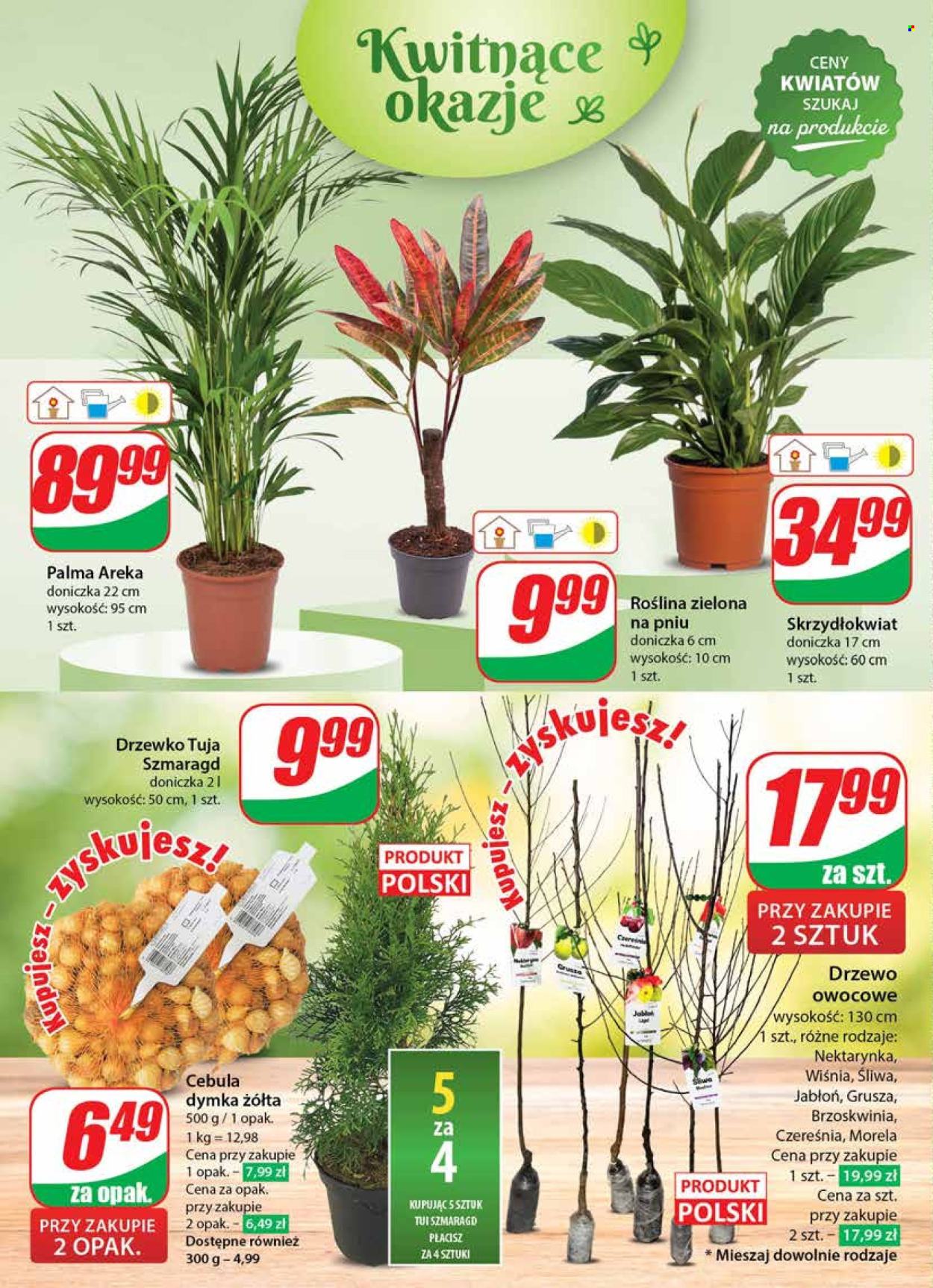 Gazetka Dino - 13.03.2024 - 19.03.2024. Strona 50