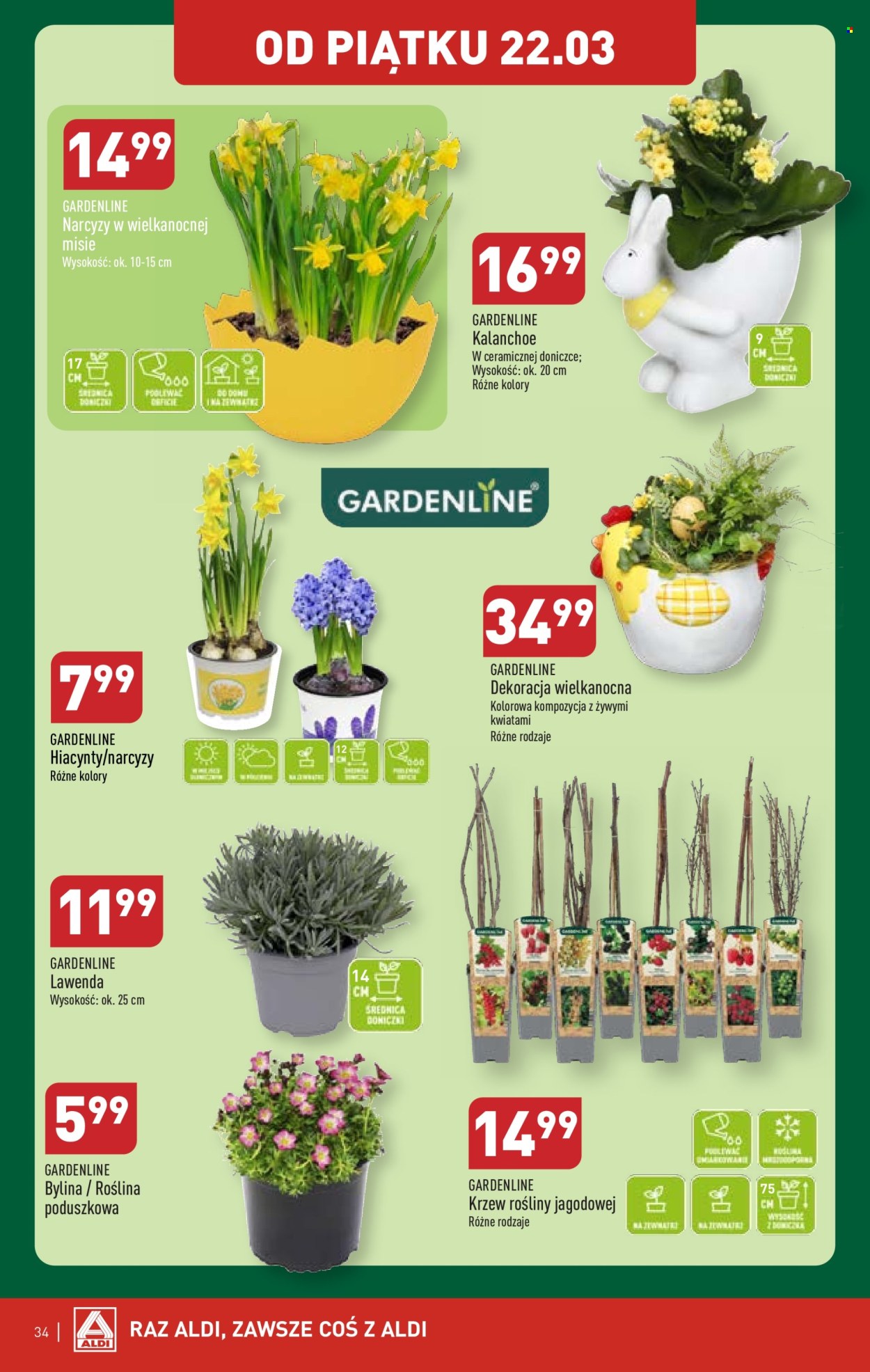 Gazetka ALDI - 18.03.2024 - 24.03.2024. Strona 34