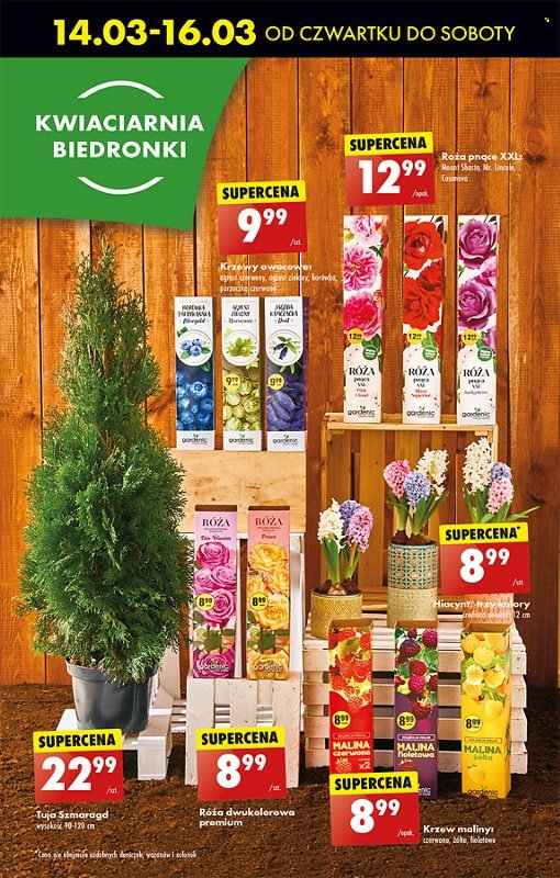 Gazetka Biedronka - 14.03.2024 - 20.03.2024. Strona 22