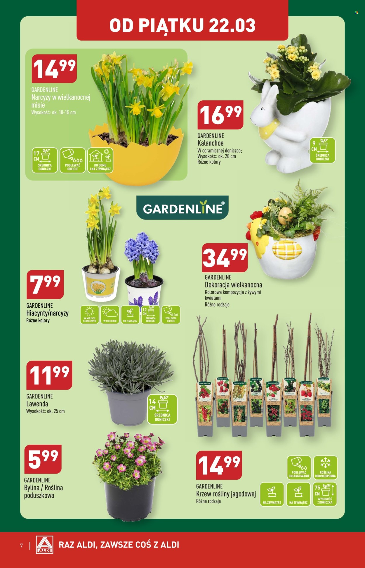 Gazetka ALDI - 21.03.2024 - 24.03.2024. Strona 7