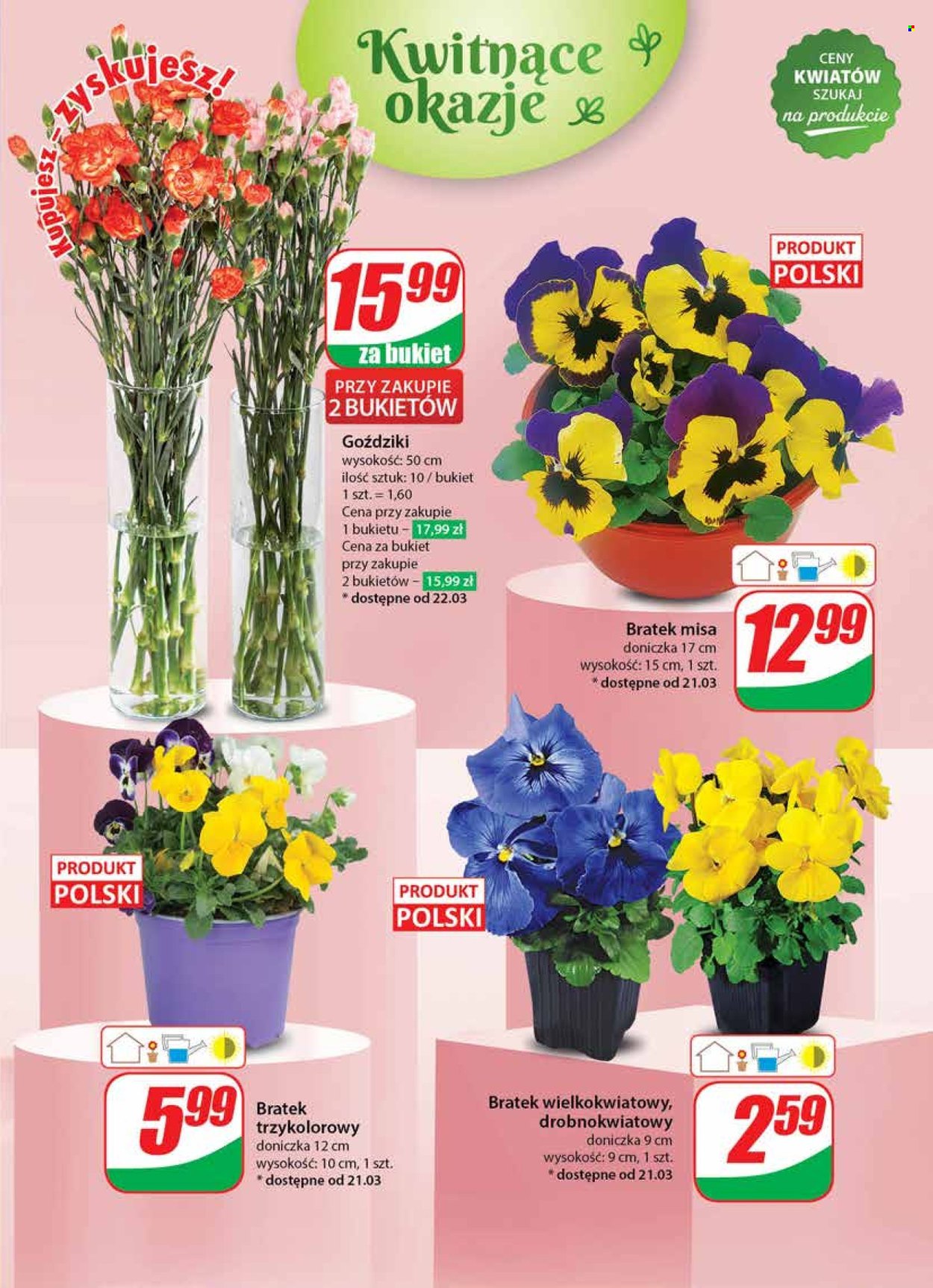 Gazetka Dino - 20.03.2024 - 26.03.2024. Strona 55