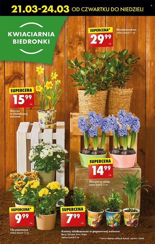 Gazetka Biedronka - 21.03.2024 - 27.03.2024. Strona 65