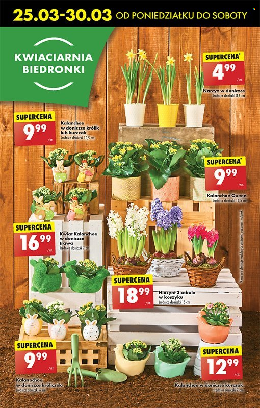Gazetka Biedronka - 25.03.2024 - 30.03.2024. Strona 25