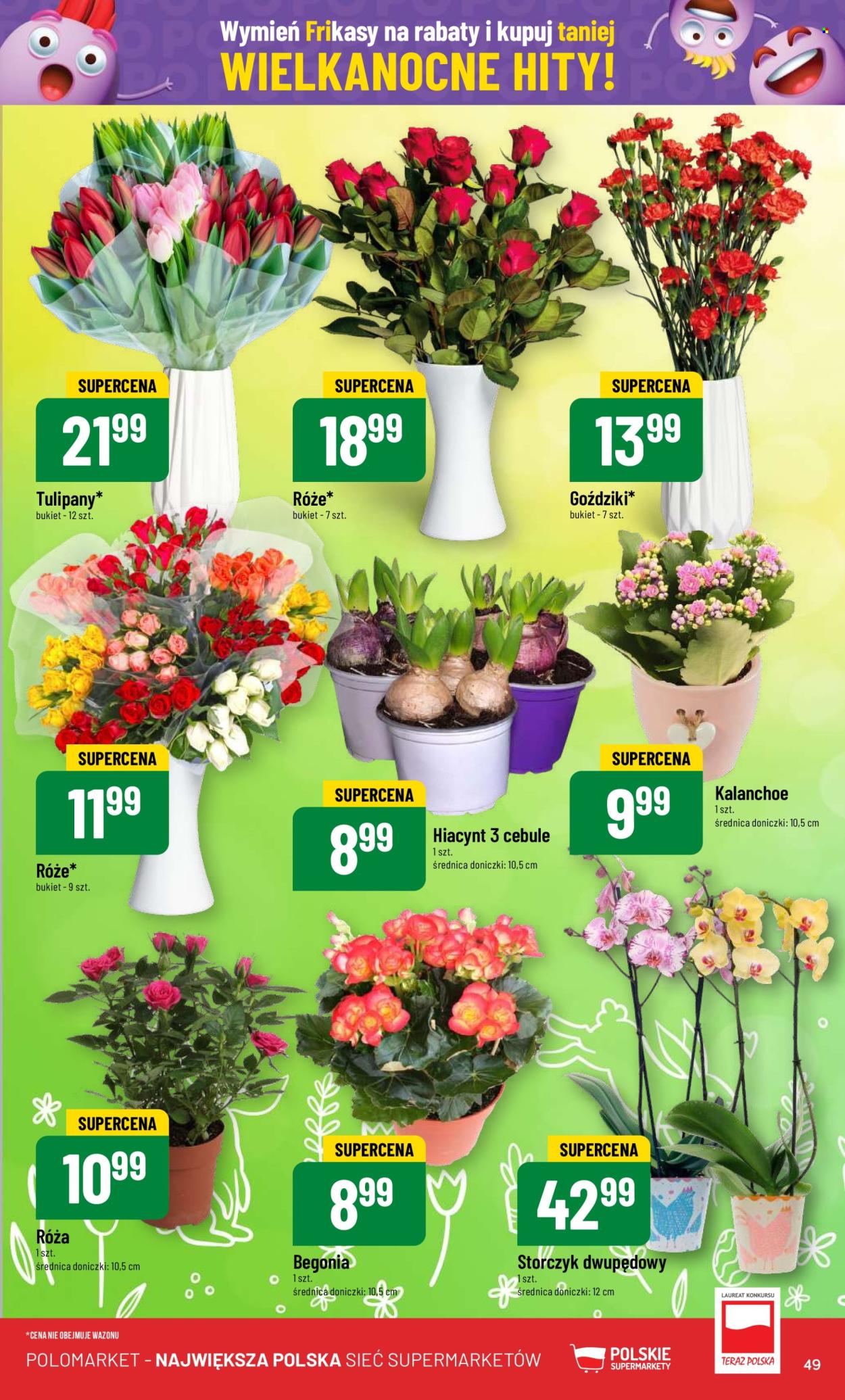 Gazetka Polomarket - 27.03.2024 - 2.04.2024. Strona 49