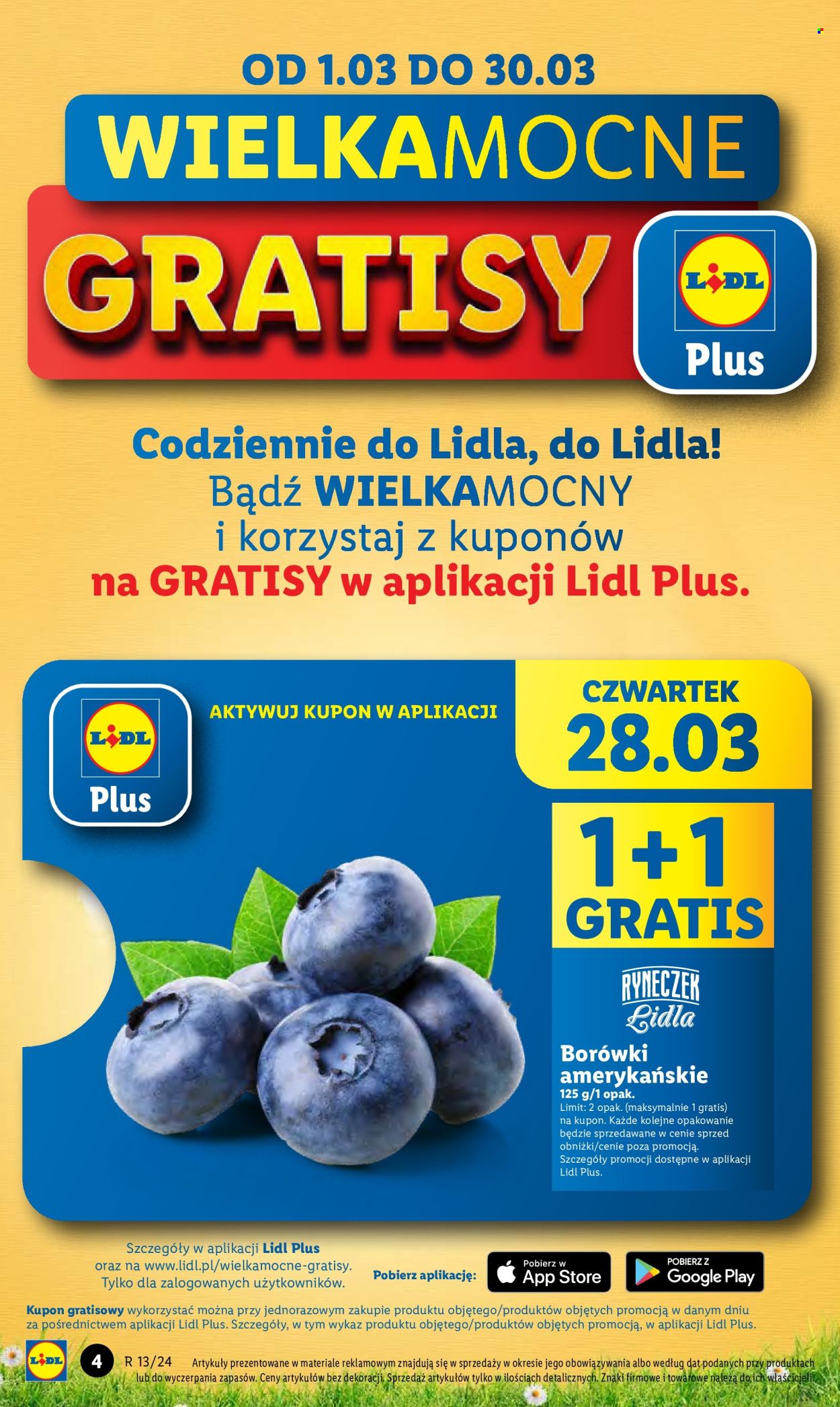 Gazetka Lidl - 28.03.2024 - 30.03.2024. Strona 4
