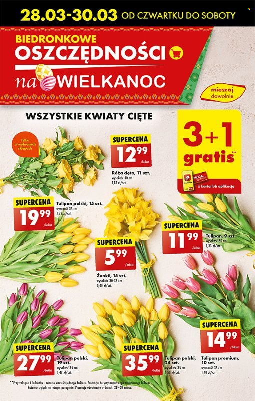 Gazetka Biedronka - 28.03.2024 - 30.03.2024. Strona 17