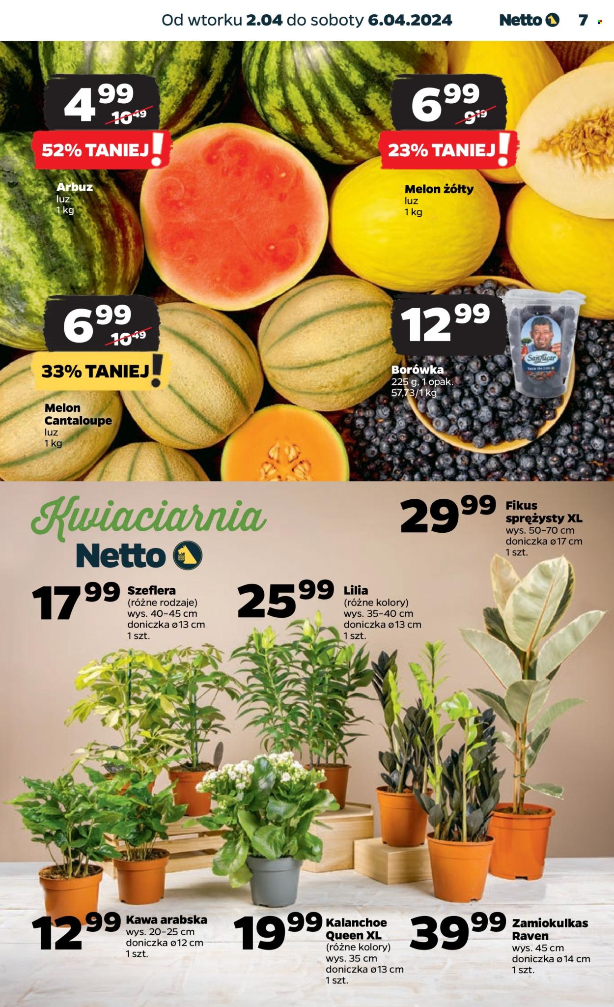 Gazetka Netto - 2.04.2024 - 6.04.2024. Strona 7