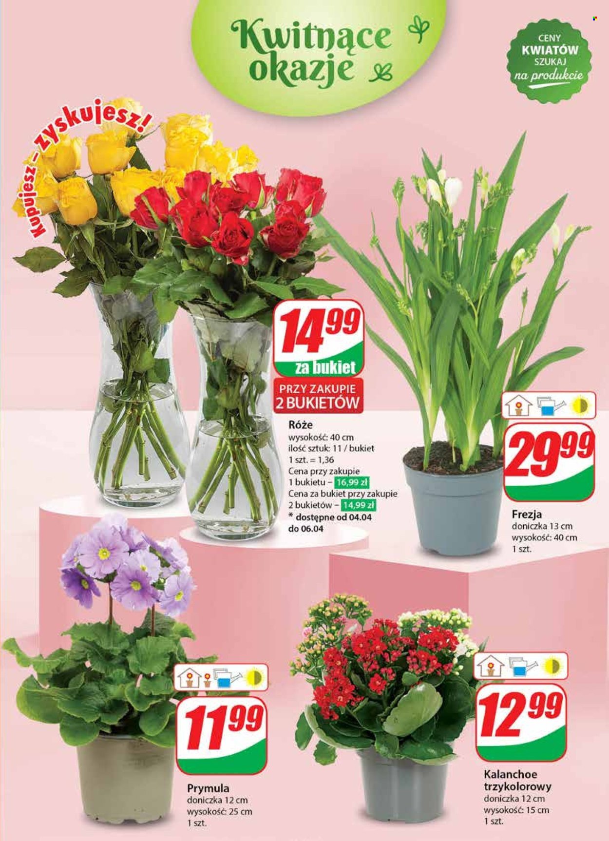 Gazetka Dino - 3.04.2024 - 9.04.2024. Strona 51