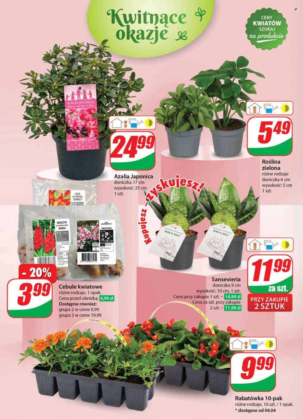 Gazetka Dino - 3.04.2024 - 9.04.2024. Strona 52