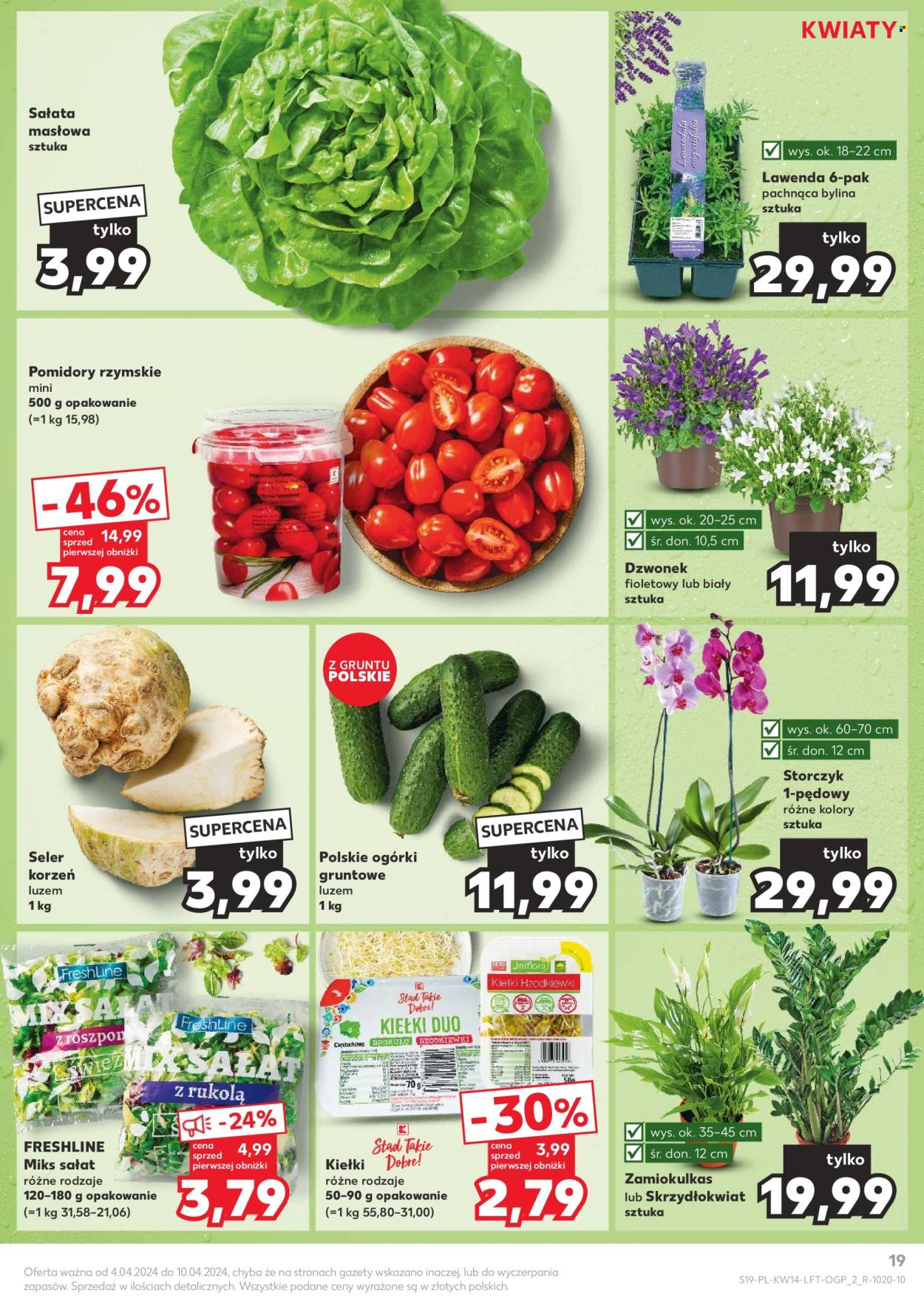 Gazetka Kaufland - 4.04.2024 - 10.04.2024. Strona 19