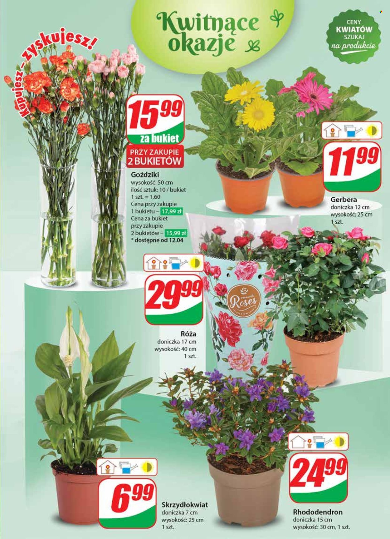 Gazetka Dino - 10.04.2024 - 16.04.2024. Strona 47