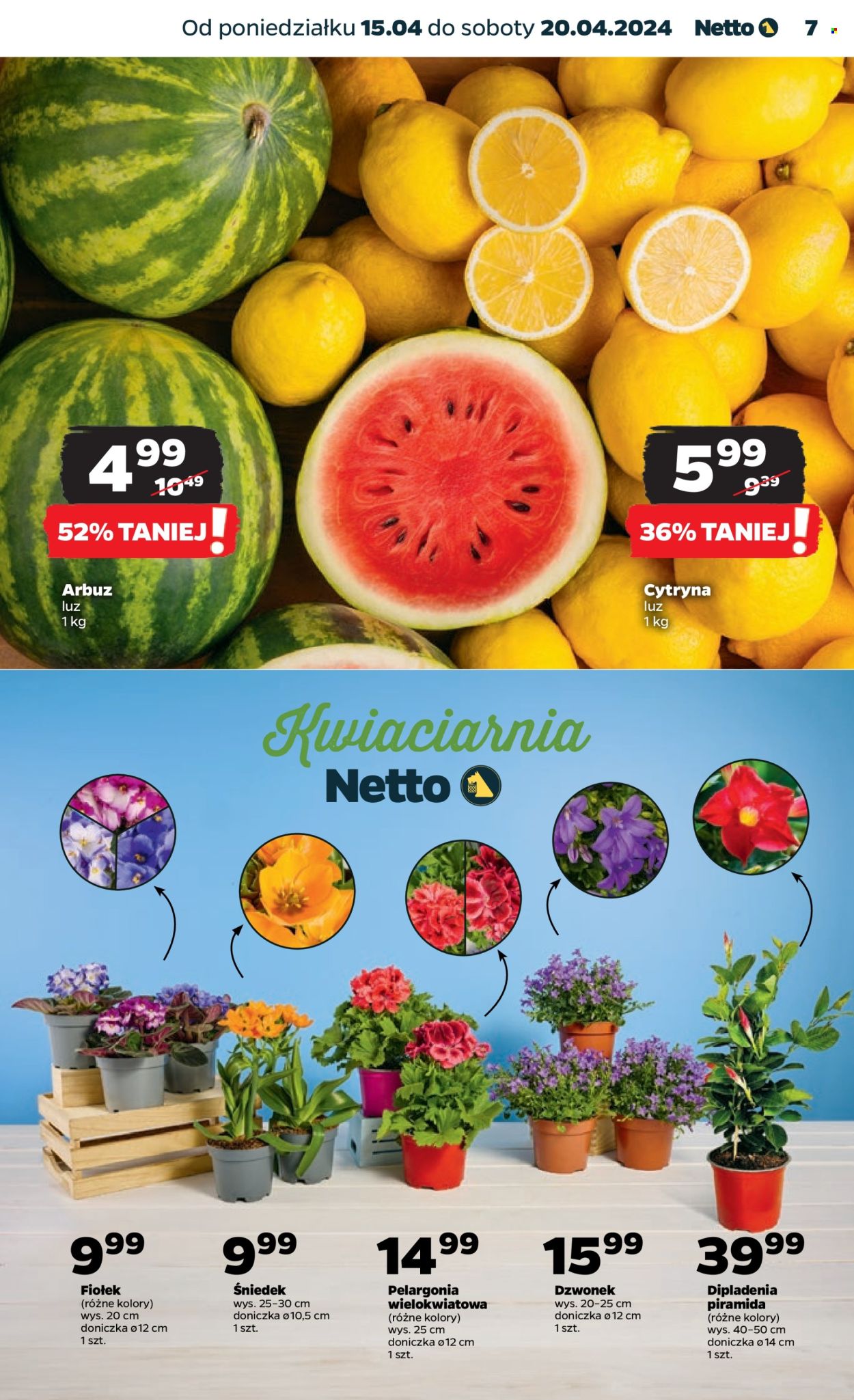 Gazetka Netto - 15.04.2024 - 20.04.2024. Strona 7