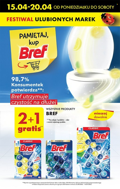 Gazetka Biedronka - 15.04.2024 - 20.04.2024. Strona 17