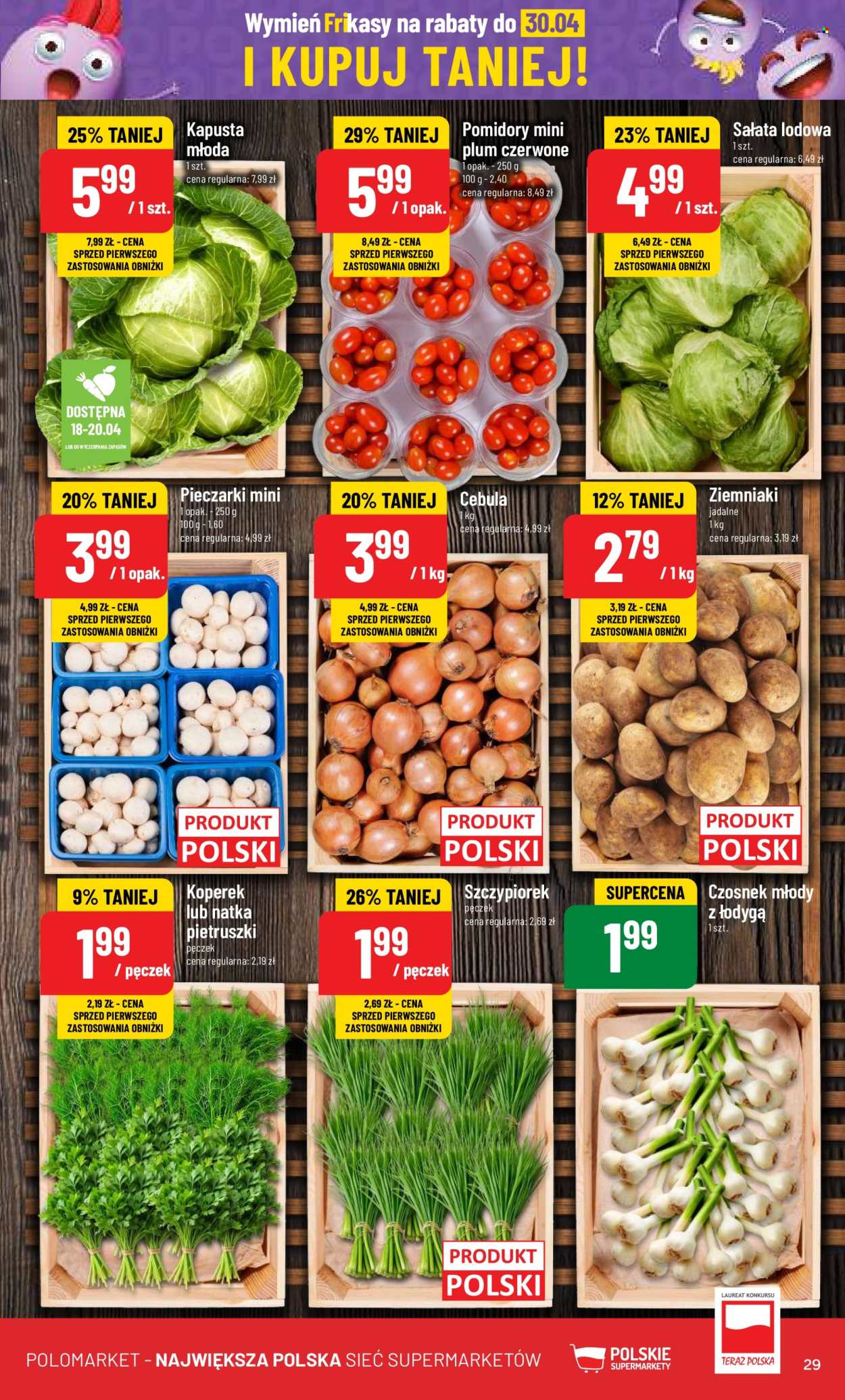 Gazetka Polomarket - 17.04.2024 - 23.04.2024. Strona 29