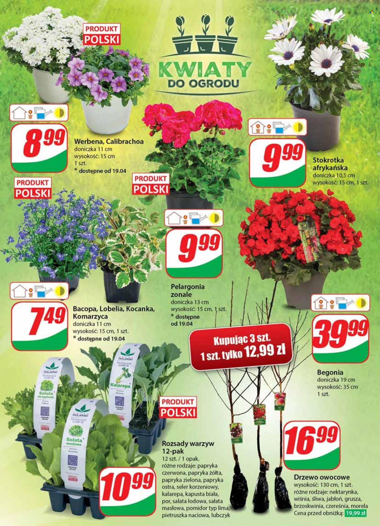 Gazetka Dino - 17.04.2024 - 23.04.2024. Strona 52