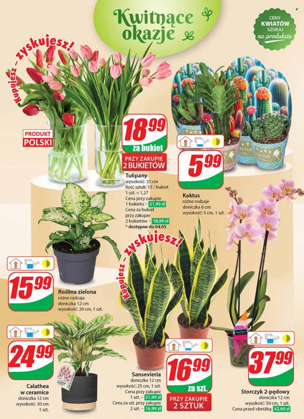 Gazetka Dino - 2.05.2024 - 7.05.2024. Strona 48