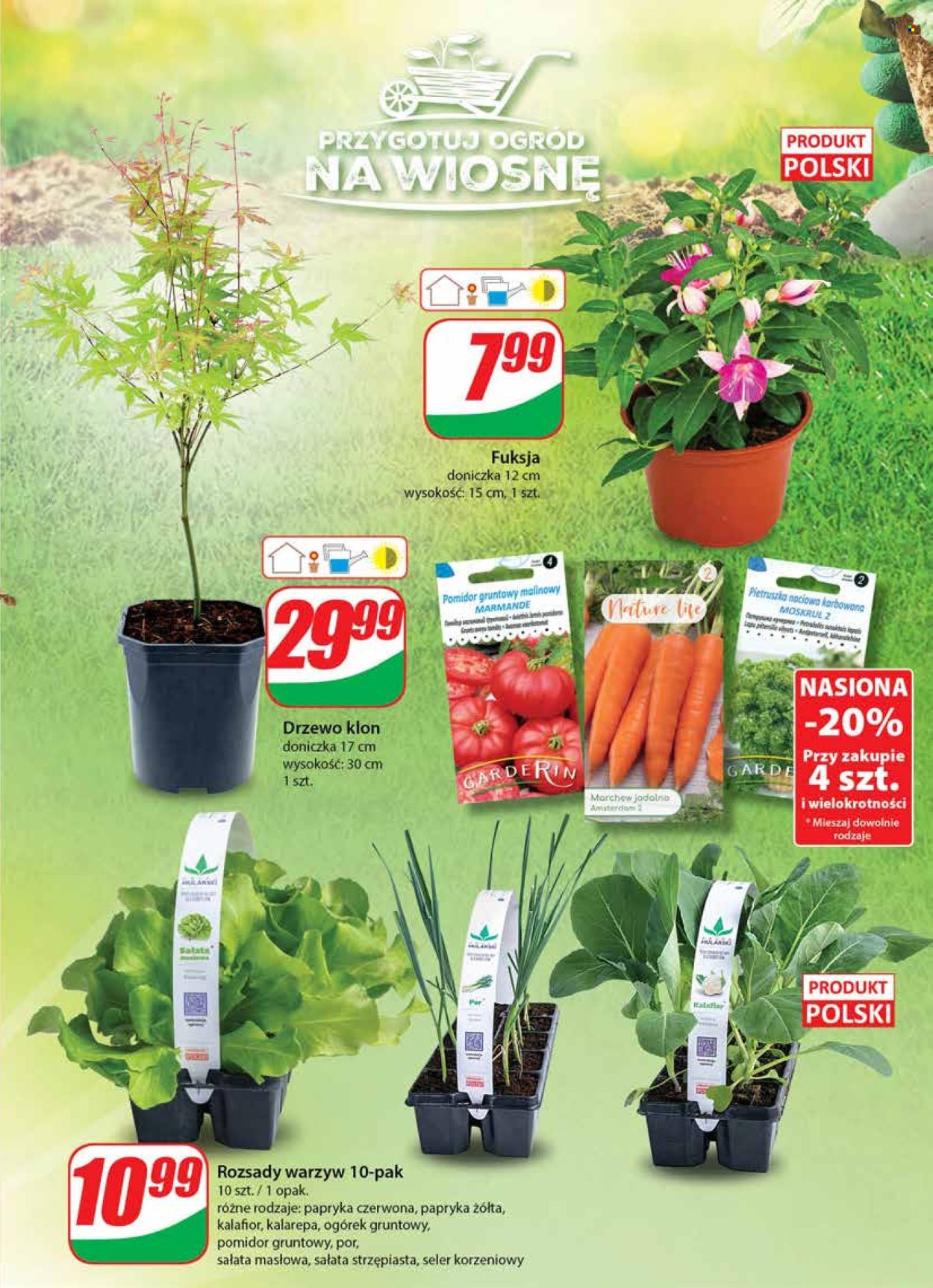 Gazetka Dino - 2.05.2024 - 7.05.2024. Strona 49