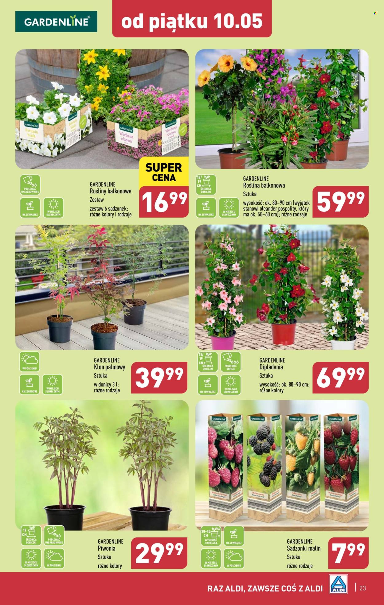 Gazetka ALDI - 6.05.2024 - 11.05.2024. Strona 23