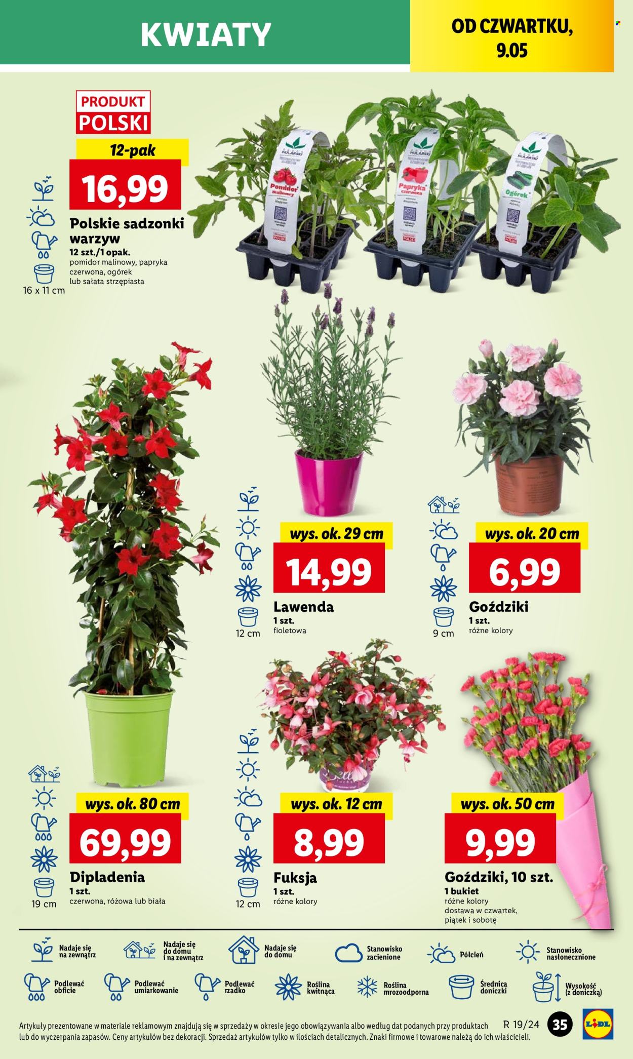 Gazetka Lidl - 9.05.2024 - 11.05.2024. Strona 49