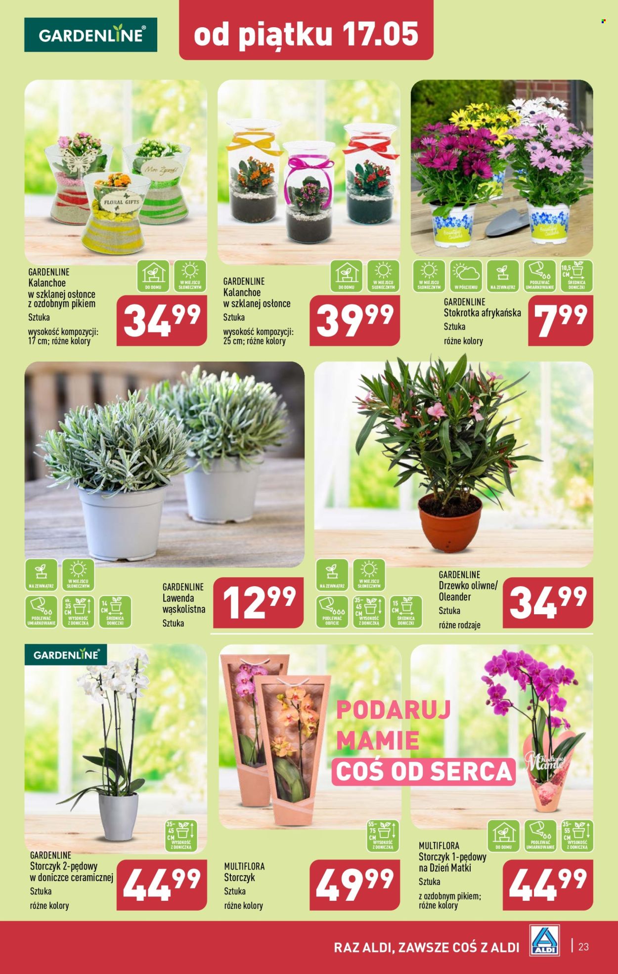 Gazetka ALDI - 13.05.2024 - 18.05.2024. Strona 23