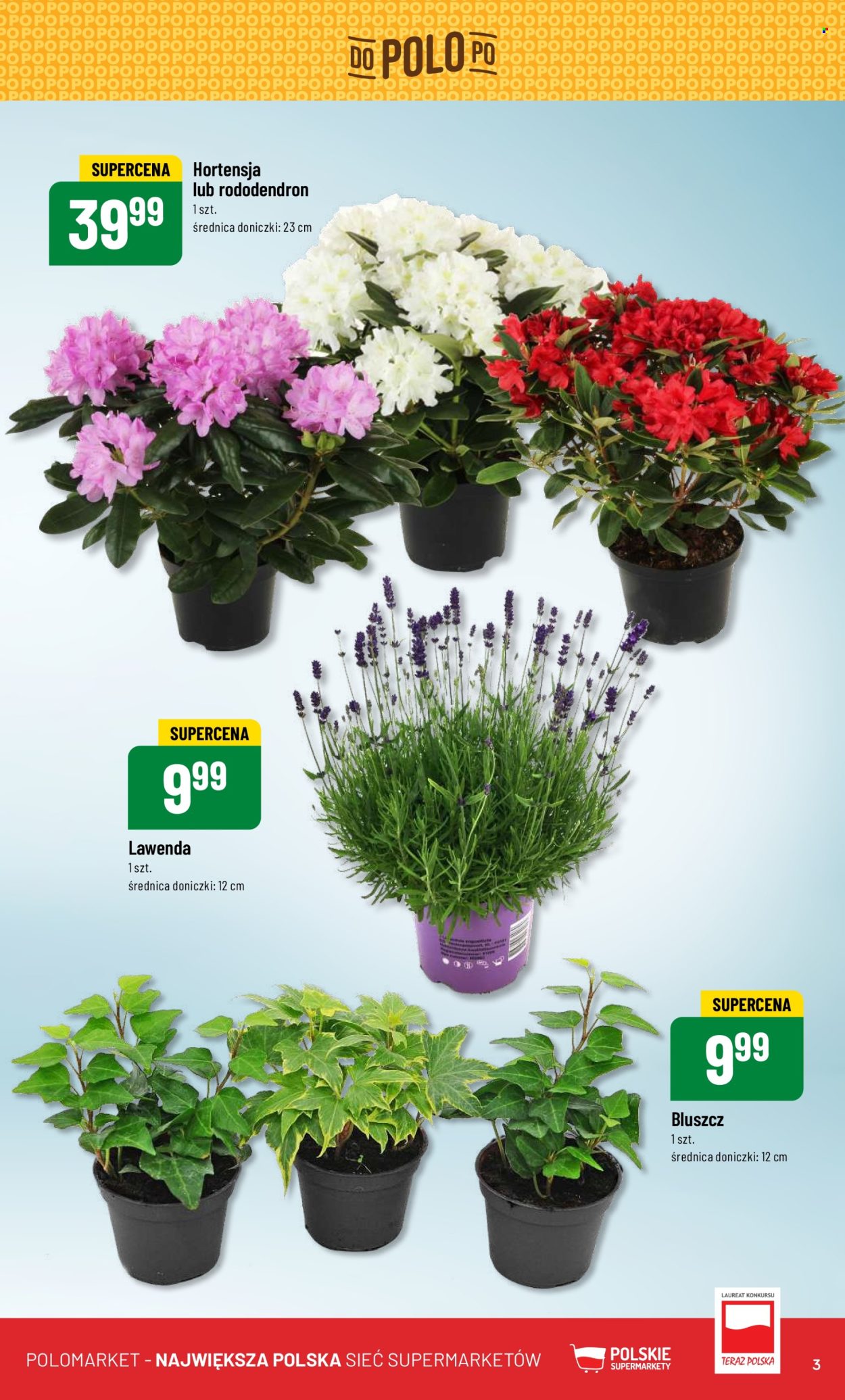 Gazetka Polomarket - 15.05.2024 - 21.05.2024. Strona 3