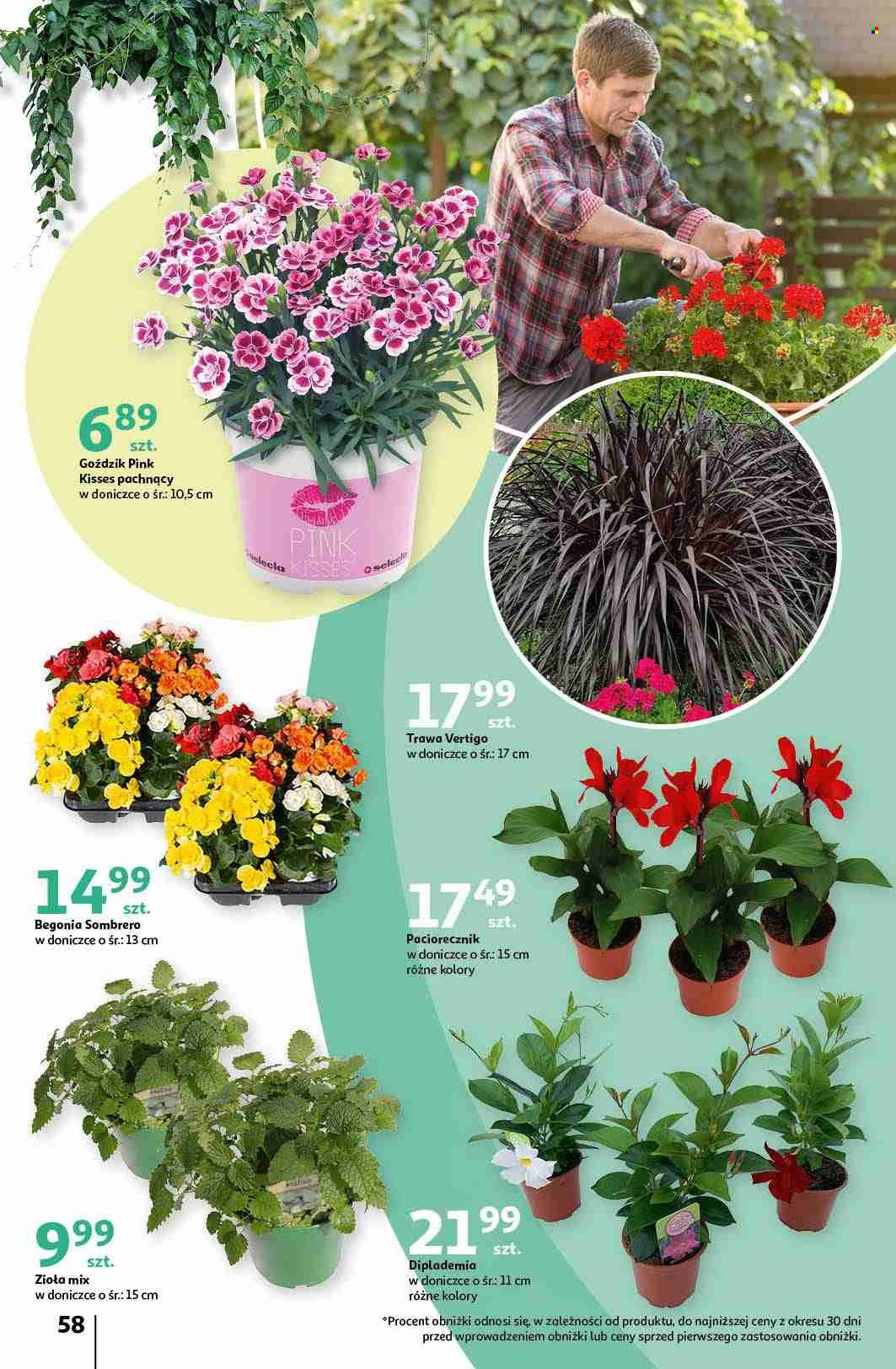 Gazetka Auchan - 16.05.2024 - 22.05.2024. Strona 58
