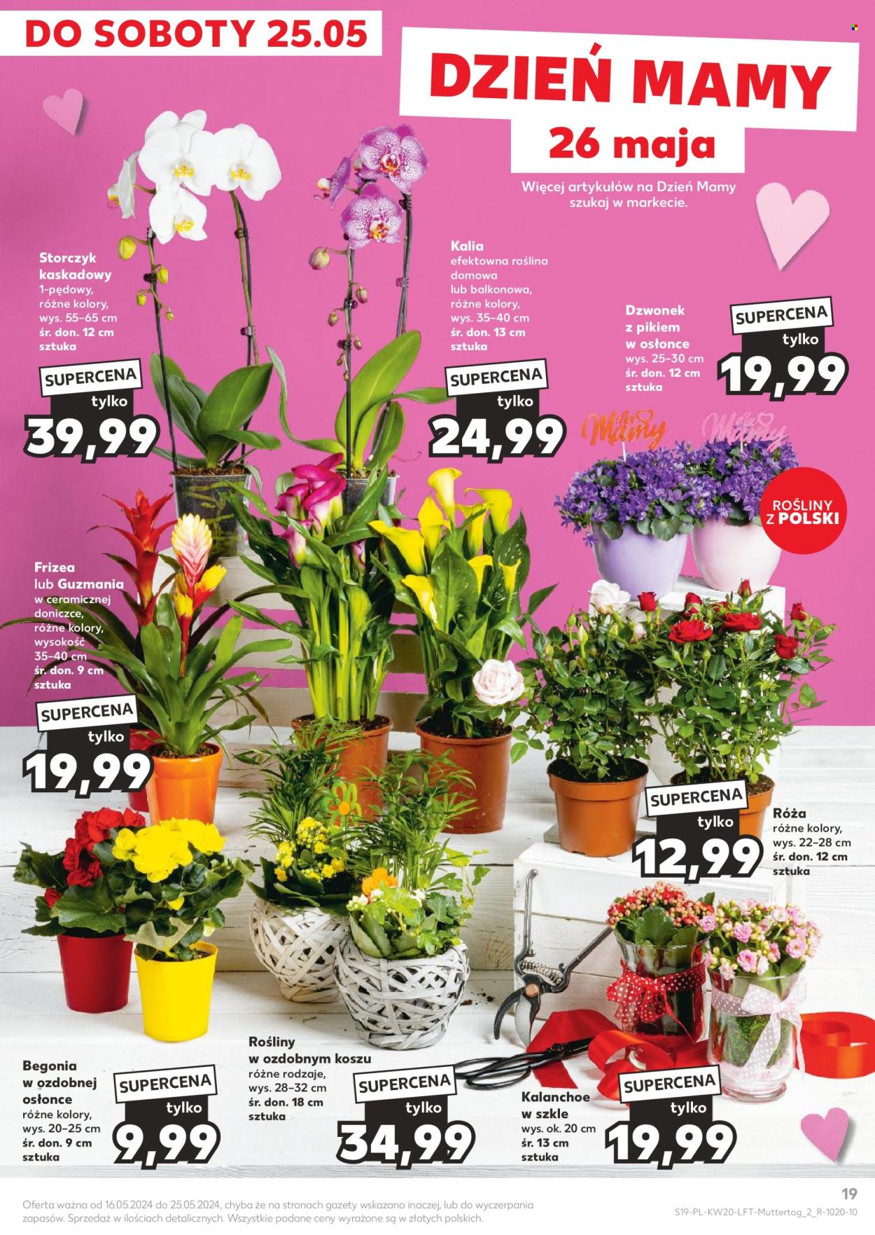 Gazetka Kaufland - 16.05.2024 - 22.05.2024. Strona 19