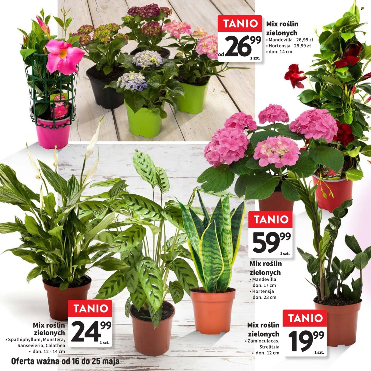 Gazetka Intermarché - 16.05.2024 - 5.06.2024. Strona 22