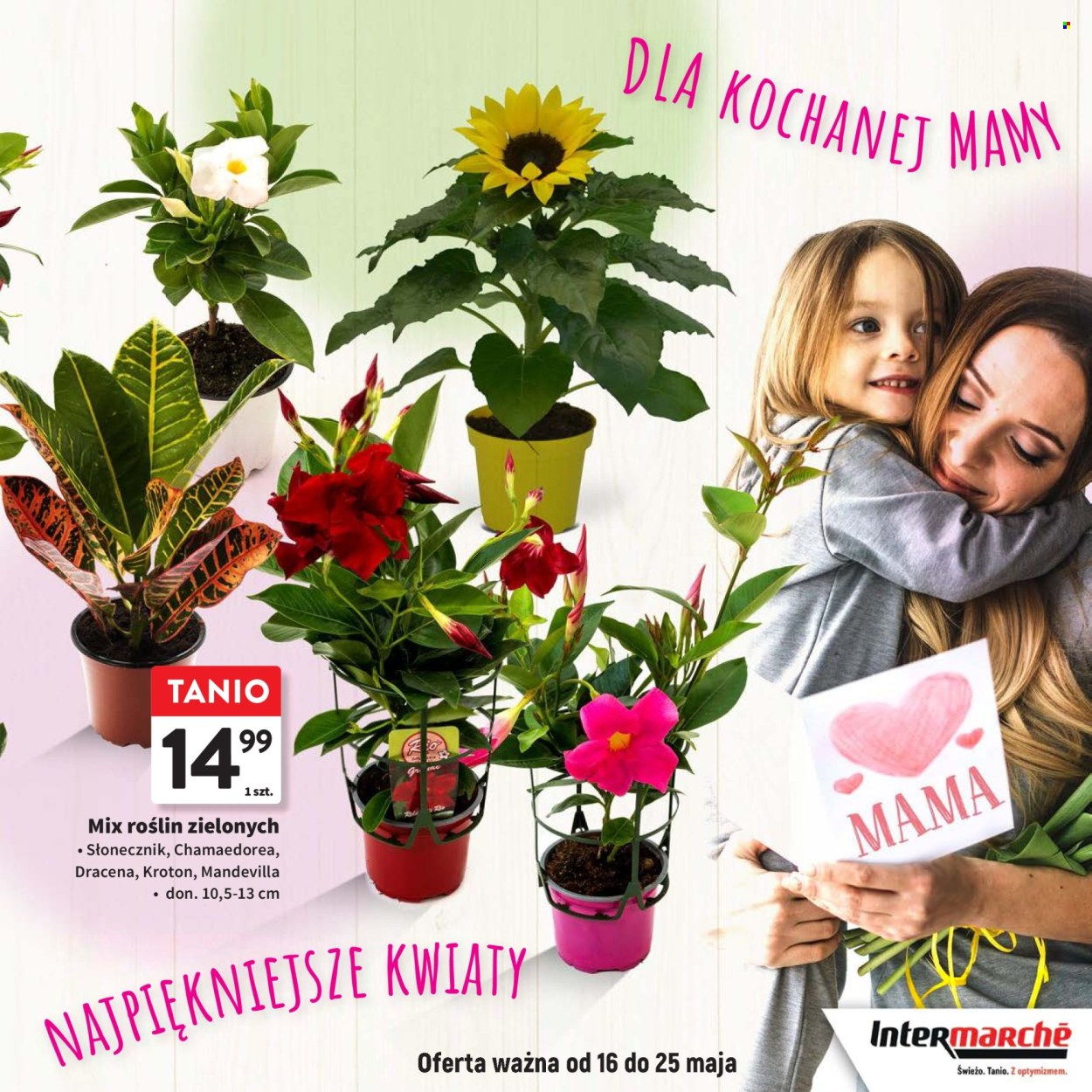 Gazetka Intermarché - 16.05.2024 - 5.06.2024. Strona 23
