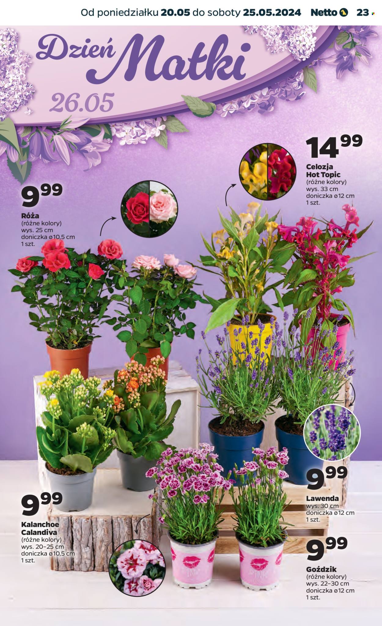Gazetka Netto - 20.05.2024 - 25.05.2024. Strona 23