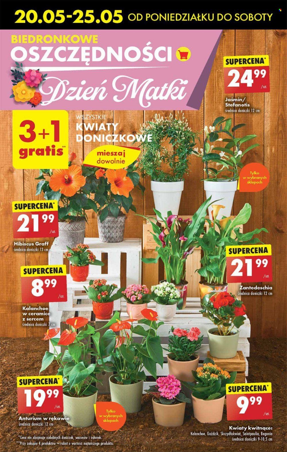 Gazetka Biedronka - 20.05.2024 - 25.05.2024. Strona 55