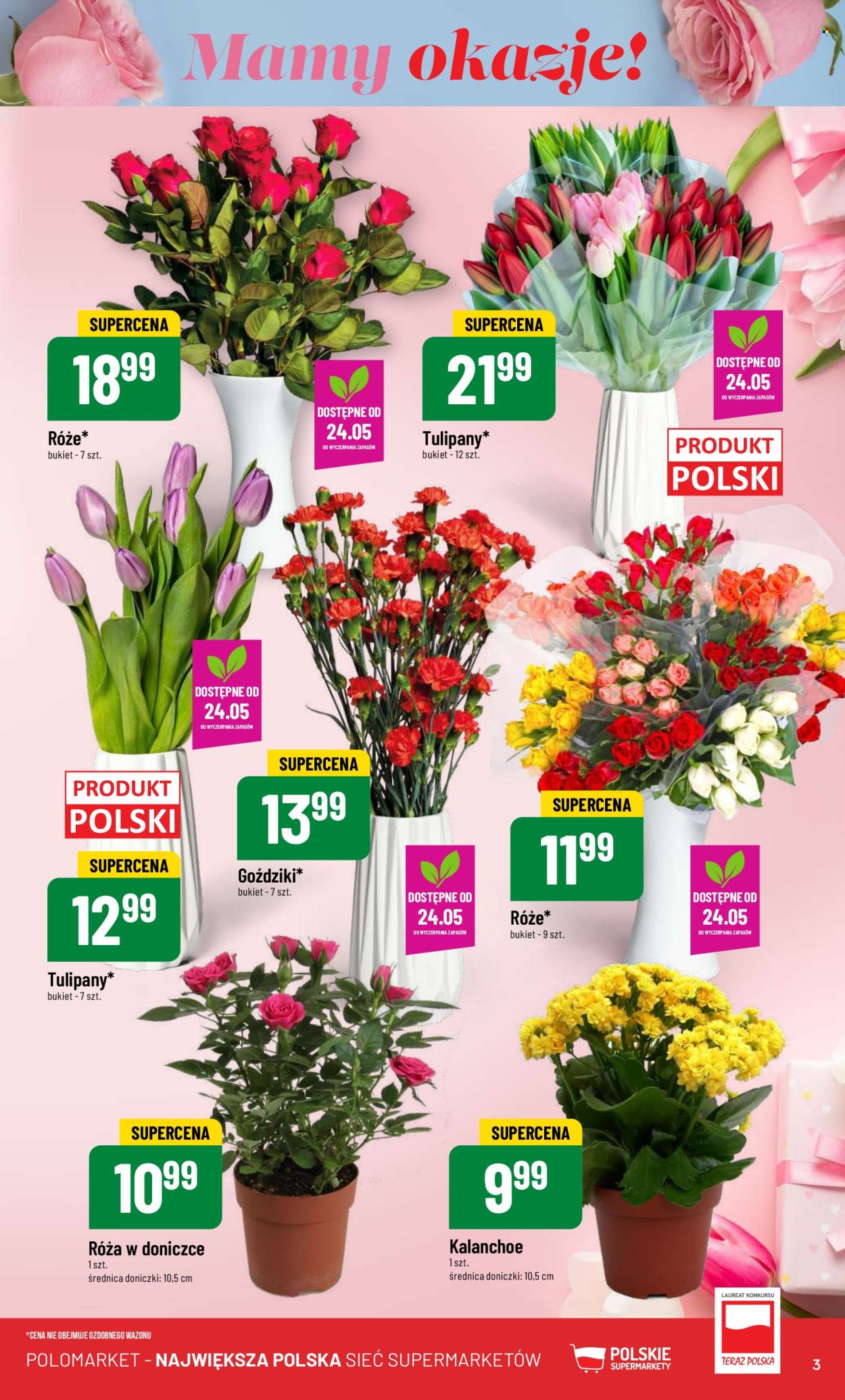 Gazetka Polomarket - 22.05.2024 - 28.05.2024. Strona 3