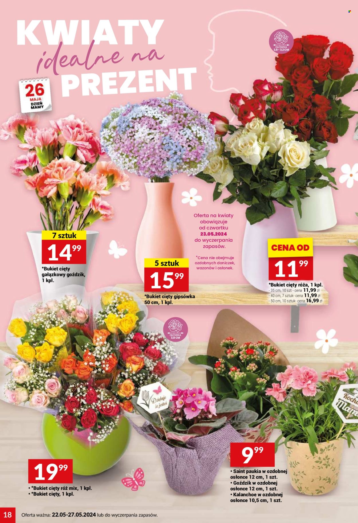 Gazetka Twój Market - 22.05.2024 - 27.05.2024. Strona 18