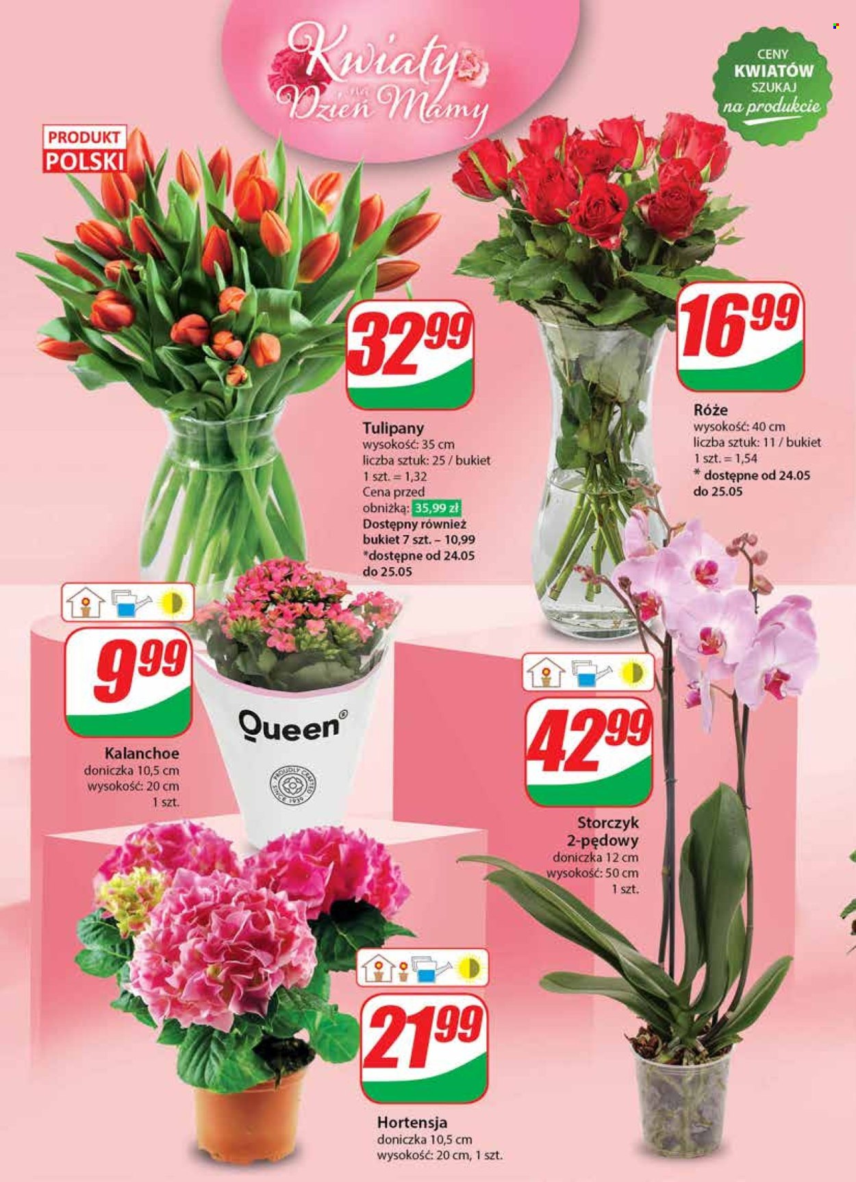 Gazetka Dino - 22.05.2024 - 28.05.2024. Strona 46