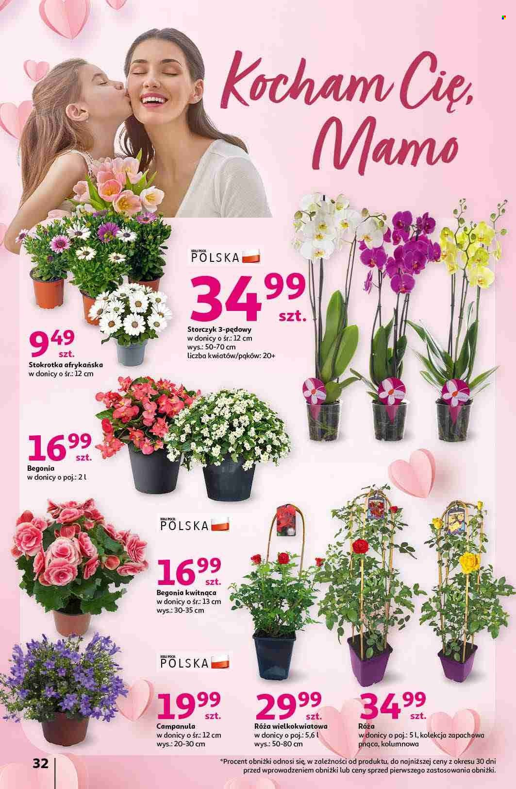 Gazetka Auchan - 23.05.2024 - 29.05.2024. Strona 32