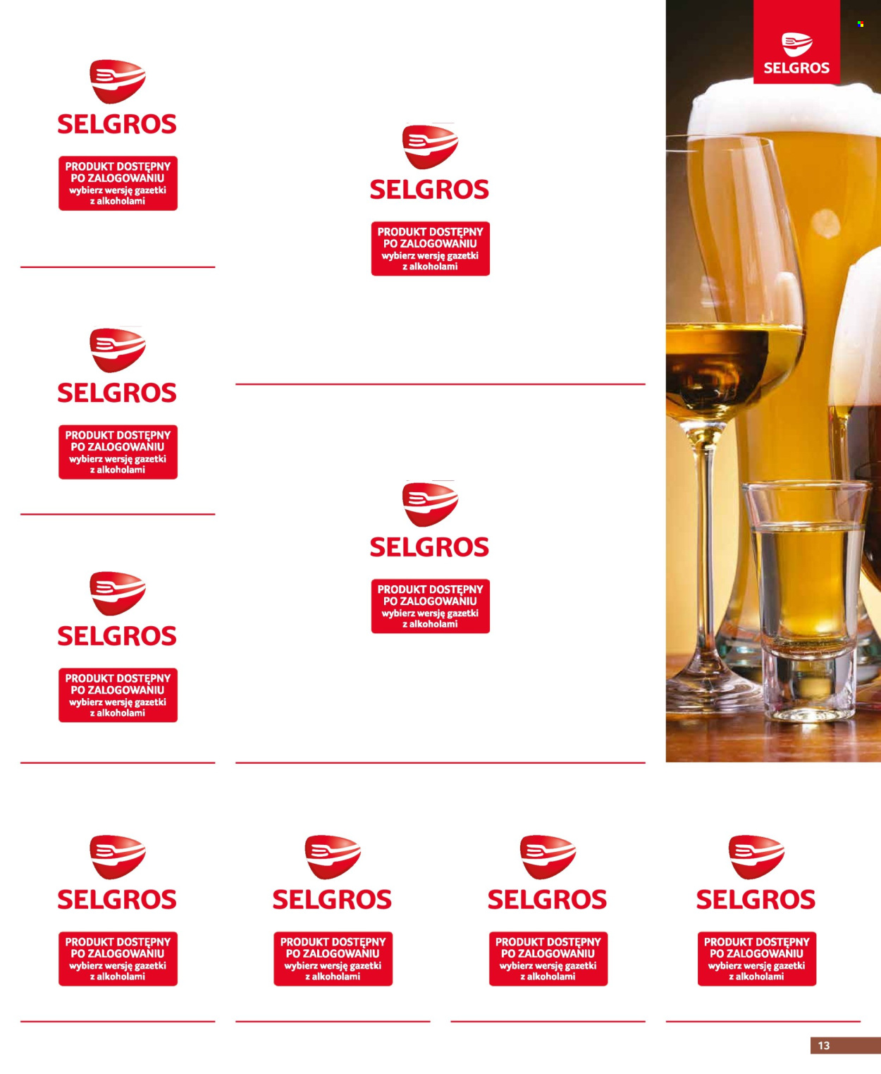 Gazetka Selgros - 23.05.2024 - 5.06.2024. Strona 13