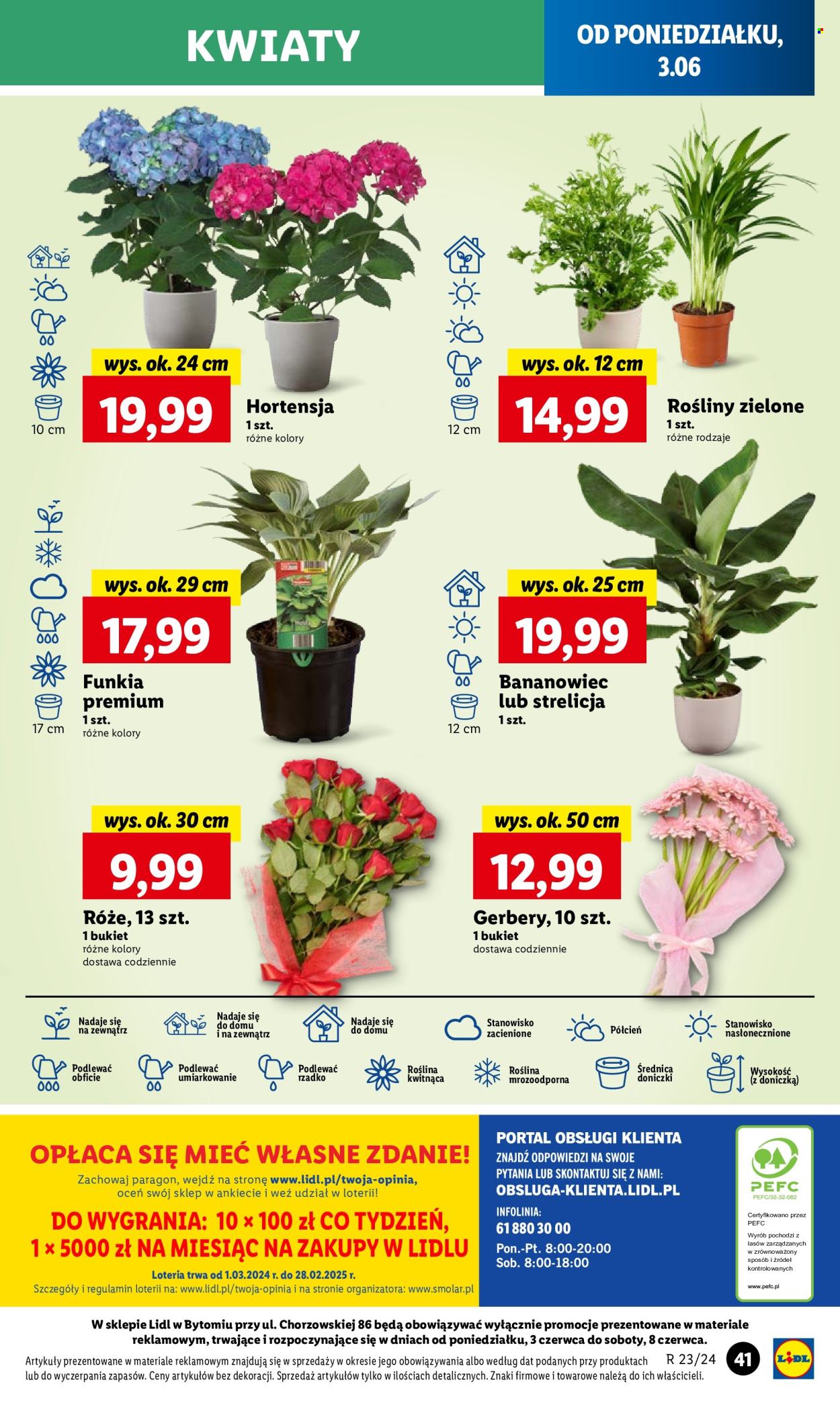 Gazetka Lidl - 3.06.2024 - 5.06.2024. Strona 45