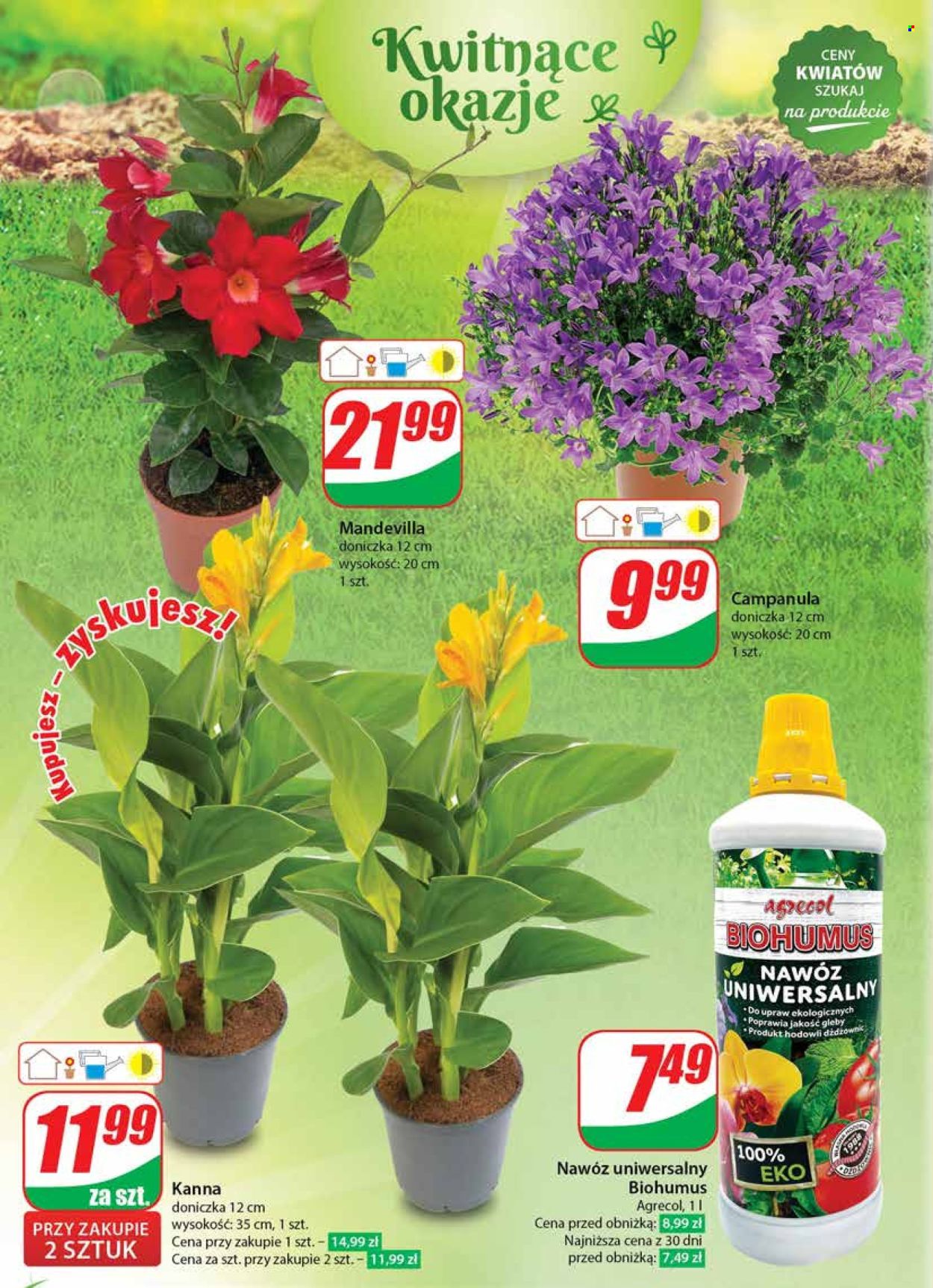 Gazetka Dino - 5.06.2024 - 11.06.2024. Strona 50