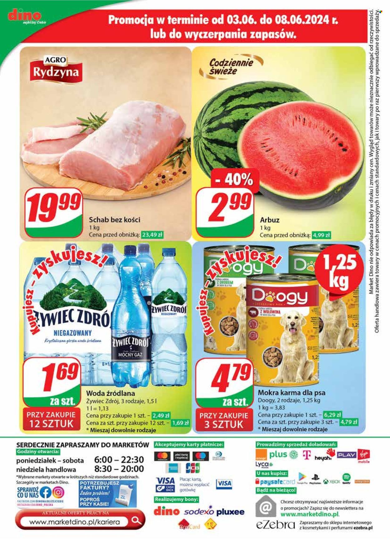 Gazetka Dino - 5.06.2024 - 11.06.2024. Strona 62