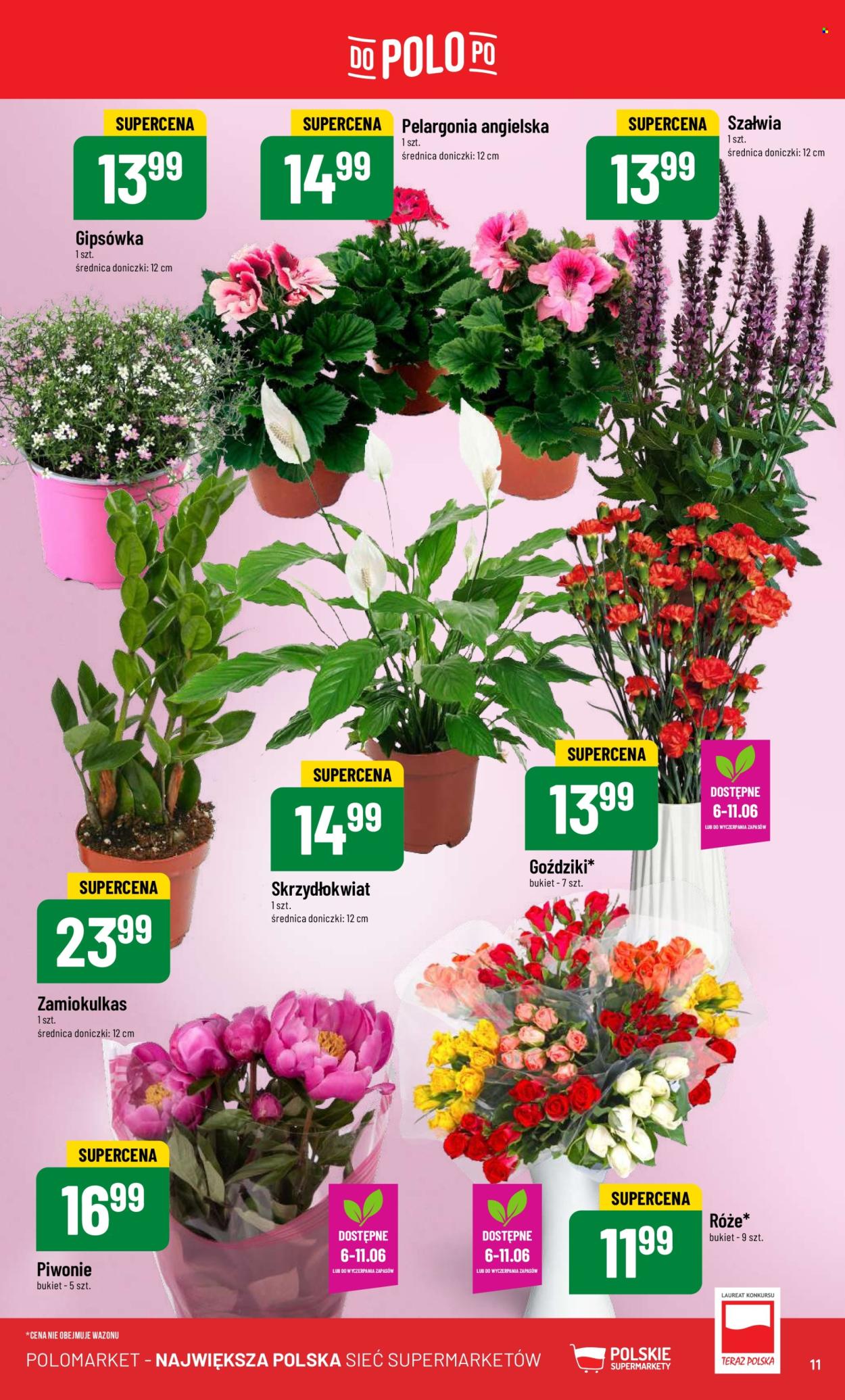 Gazetka Polomarket - 5.06.2024 - 11.06.2024. Strona 11