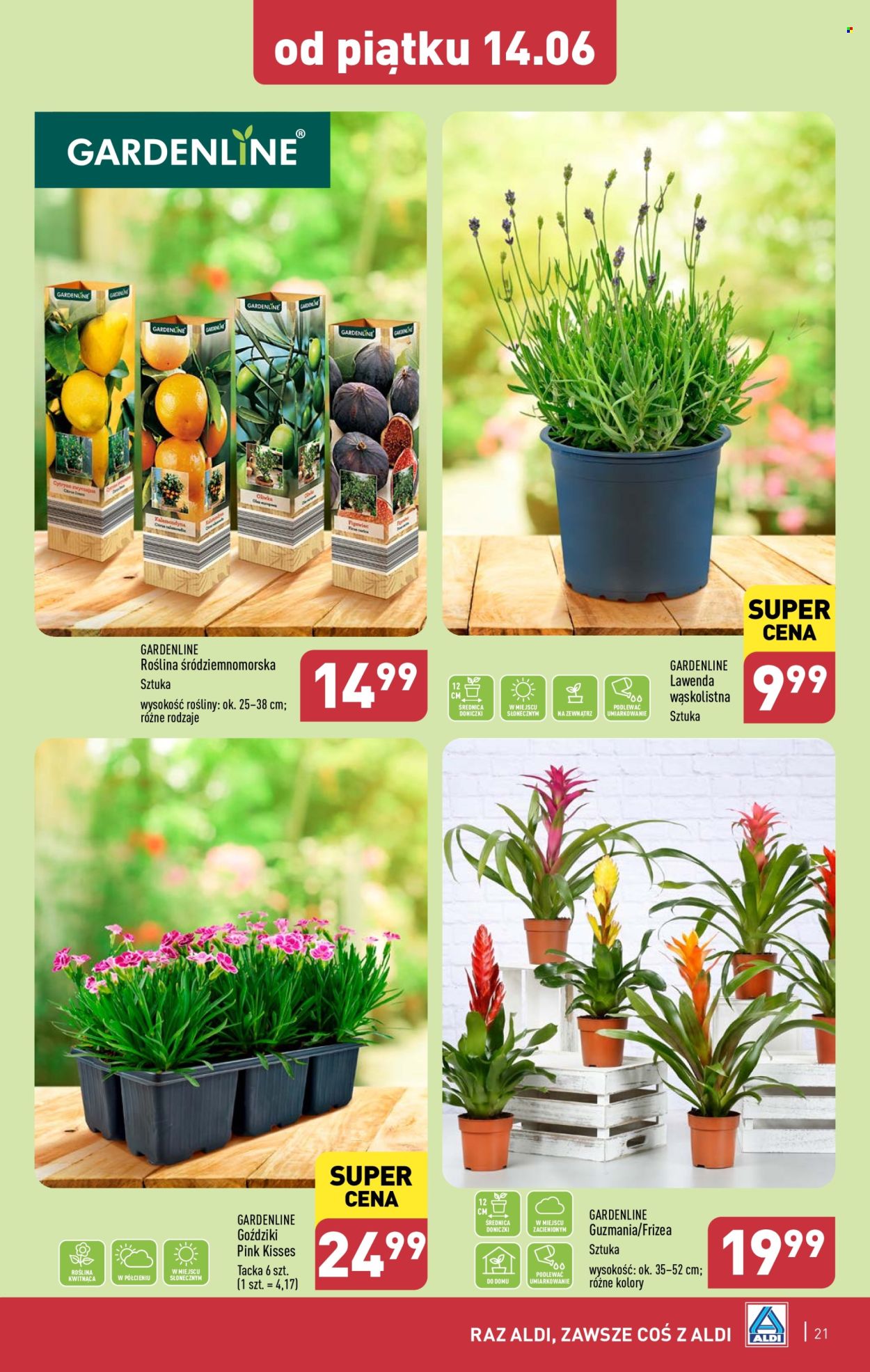 Gazetka ALDI - 10.06.2024 - 15.06.2024. Strona 21