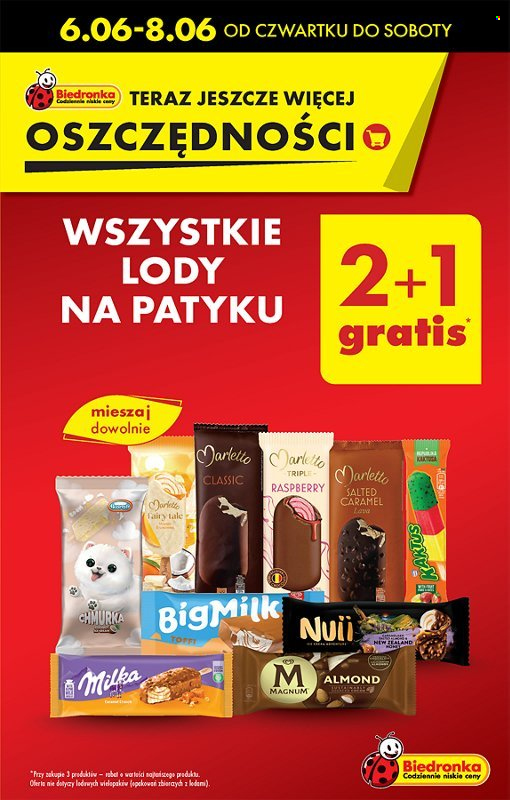 Gazetka Biedronka - 6.06.2024 - 12.06.2024. Strona 13