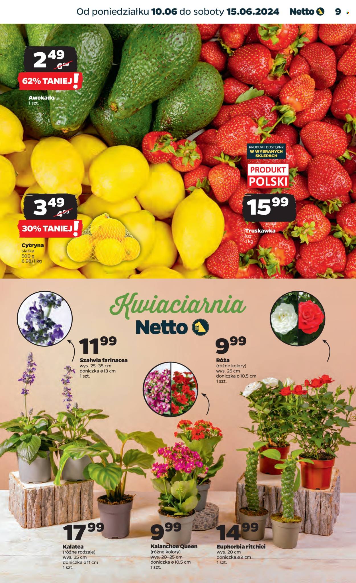 Gazetka Netto - 10.06.2024 - 15.06.2024. Strona 9